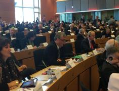 Dr. Zver o Luxleaks na EPP skupini 2014-11-12 (1)